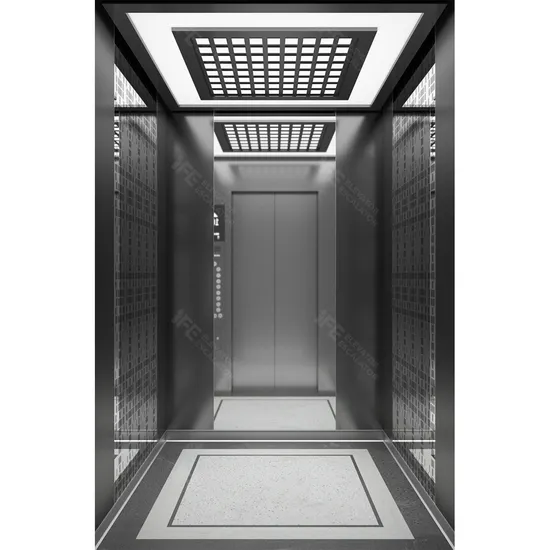 China Supplier Ife Elevator Hight Quality