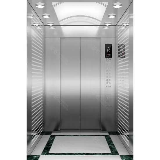 China Supplier Elevator Ife Various Elevators