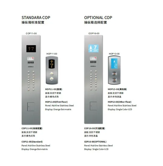 Ife High Quality Elevator Made in China Sightingseeing Elevators