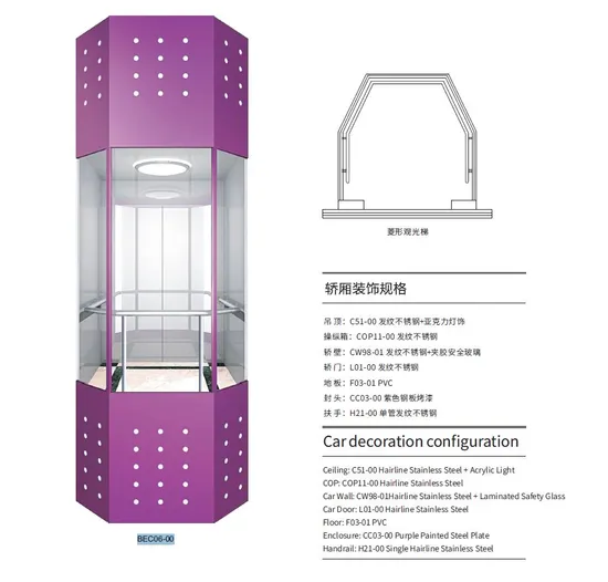 Ife Brand Stable Elevator 320kg Person Outdoor Elevator Buildingeyes Lift