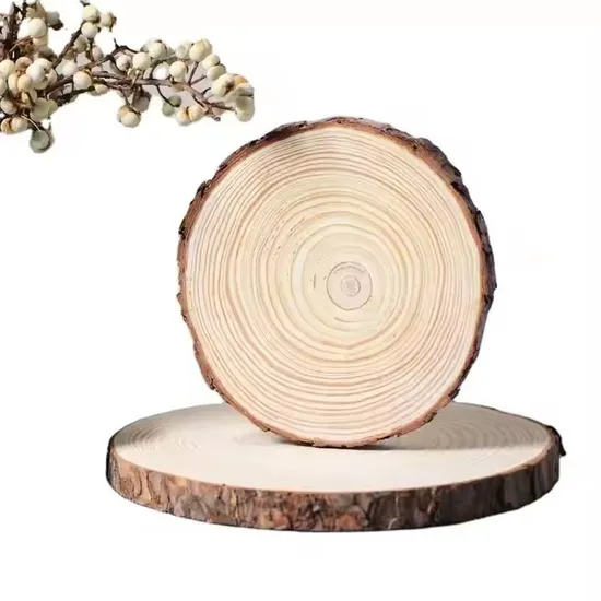 Natural Unfinished Wooden Craft Wood Slices with Bark for DIY Home Decoration