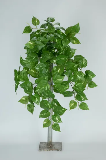 Hot-Sale Simulation Artificial Plants Greenery Anthorium Decor Decorative Hanging Pothos Home Decoration