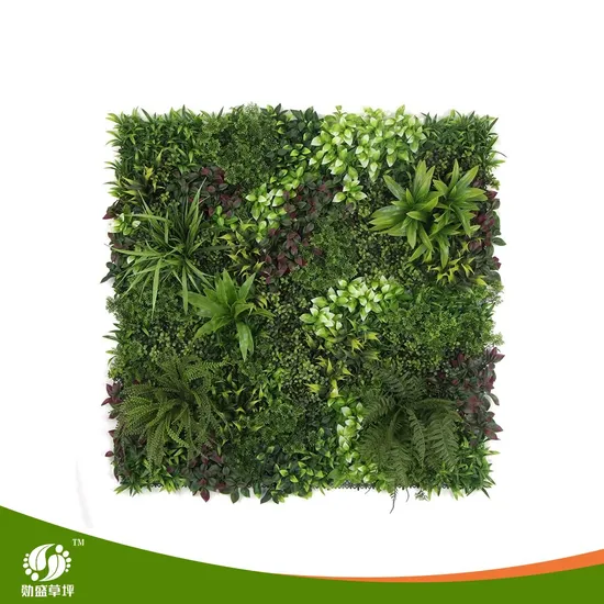 Xunsheng 500 X 500 mm Specification Artificial Boxwood Walls / Realistic Plant Replicas Tropical Design Style Vertical Artificial Rolling Plant Wall