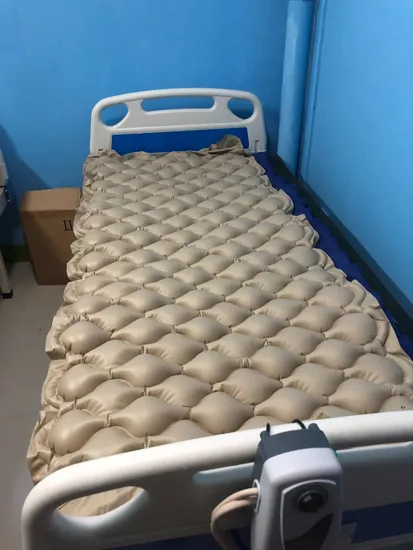 Accptable Massage Brother Standard Packing Wheelchair Cushion Medical