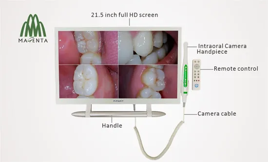 High Definition 21.5 Inch Monitor and HD Intraoral Camera Units for Dental Chair