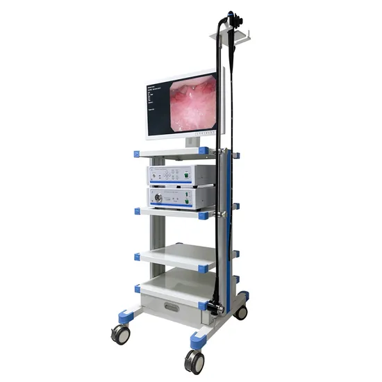 Digital Endoscope System, Flexible Endoscopic Camera Video Endoscope Camera
