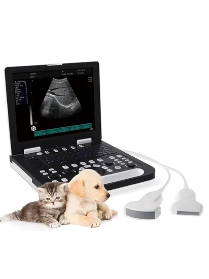 High Quality Portable Veterinary Ultrasound Scanner 15 Inch LED Screen Ultrasound Scanner Price