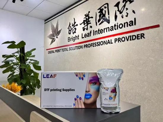 Dtf Adhesive Powder White Hot Melt Powder for Heat Transfer Printing 1kg