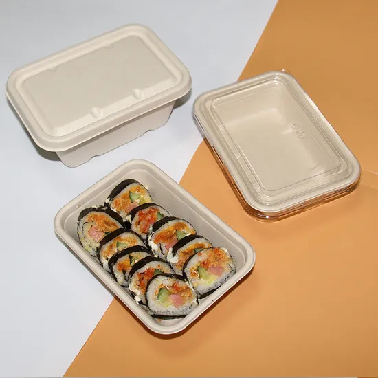 Eco Biodegradable Plant-Based Sustainable Sugar Cane Fiber Bagasse Pulp Disposable Food Box