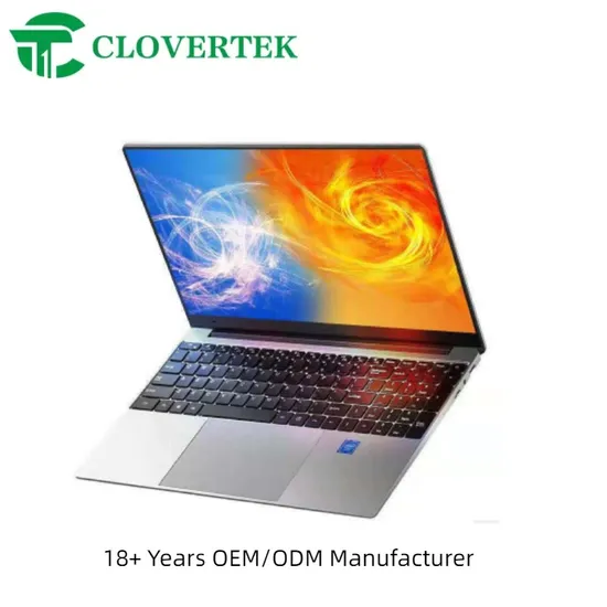 Hot Sale in Stock AMD Portable Business 2 Cores and 4 Threads Bulk Notebook Computer blue and Silver Laptop