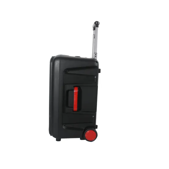 10 Inches Portable Blue-Tooth Stereo Partybox Deep Bass Trolley Speaker with 1 Handheld Mic 1 Bodypack Microphone