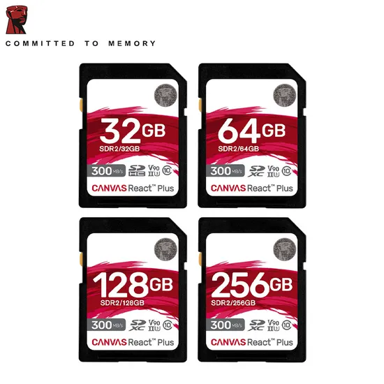 Teckdi OEM SDR2 Sdxc U3 SD Card for Camera up to 300m/S