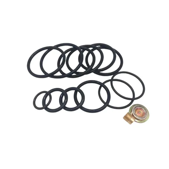 Offshore Completion Tools Seal Kits Redress Kits with Rubber Rings