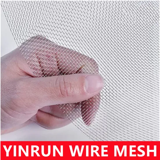Best Seller 8 Mesh Electro Galvanized Wire Mesh Roll for Stucco