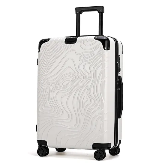 Smart Business Trip Carry on Trolley Luggage Case