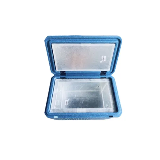 Blue EPP Cold-Chain Transportation Box VIP 12L