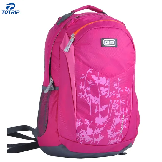 Big Capacity Functional Daily Convenient Pink Laptop Backpack