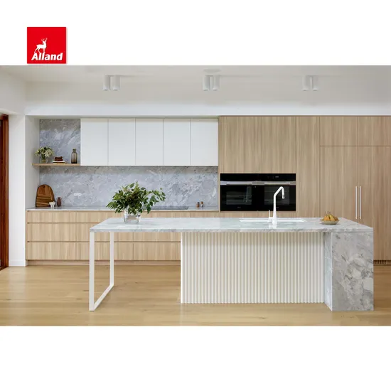 Allandcabinet Modern Design Slab Door and Fluted Panel Kitchen Cabinet with Automatic Appliances