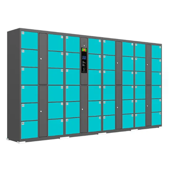 Electronic Smart Supermarket Shopping Cenrter Self Check Room Locker