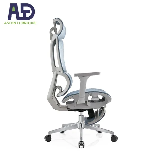 Aston Adjustable Lumbar Support Mesh Chair for Ultimate Comfort