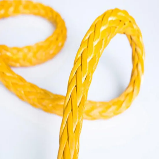 Polyester Cover High Strength 12 Strand Braided Plasma Synthetic Polyethylen UHMWPE/Hmpe/Spectra Rope for Marine Mooring/Towing/Winch/Offshore/Fish/Hawser/Tug