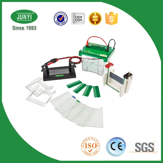 Jy-Scz2+ Mini P Electrophoresis Machine Gel Electrophoresis Equipment for Hemoglobin Detecting Vertical Electrophoresis Tank, Hospital Equipment, SDS-Page