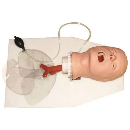 Medical Teaching Oral and Nasal Intuabtion Classic Tracheal Intubation Training Model