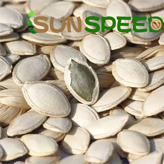 New Crop Snow White Pumpkin Seeds Raw Nut and Seeds Middle East Dubai Demand Inshell for Roast Shine Skin Pumpkin Seeds