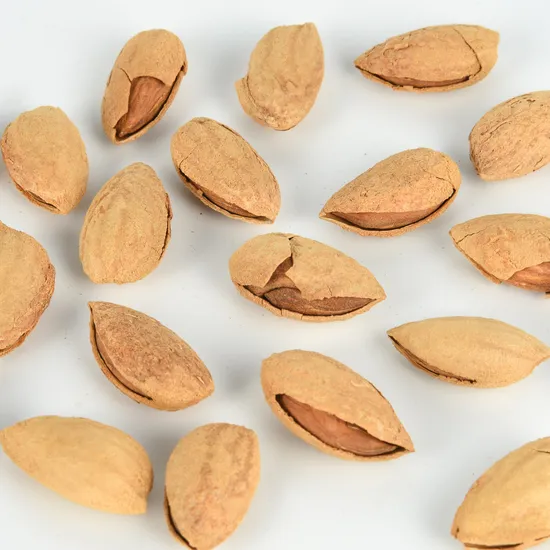 Fresh Thin Skin Wholesale Snacks Health Almond Nut