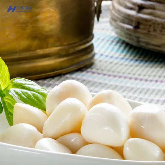 Fresh Certified Top Quality Chinese Shandong New Garlic Used as a Seasoning for Dishes Normal White Garlic Wholesale Price to Wholesalers and Taste Delicious