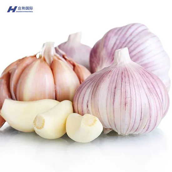 Best Quality Fresh Certified Garlic Used as a Seasoning for Dishes Normal White Garlic and Wholesale Price to Wholesalers