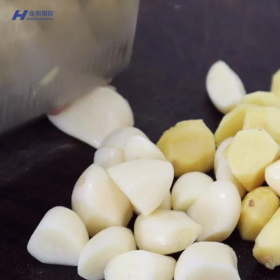 Fresh Certified Good Quality Garlic Used as a Seasoning for Dishes Normal White Garlic and Wholesale Price to Wholesalers and Taste Is Delicious