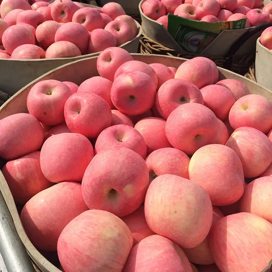 Fruit Fresh FUJI Apple Factory Price Red Apple for Sale