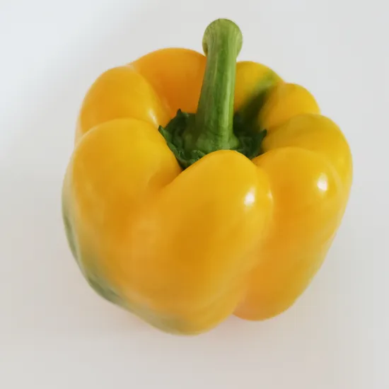 Hot Export Wholesale Fresh Bell Pepper From China Best Price