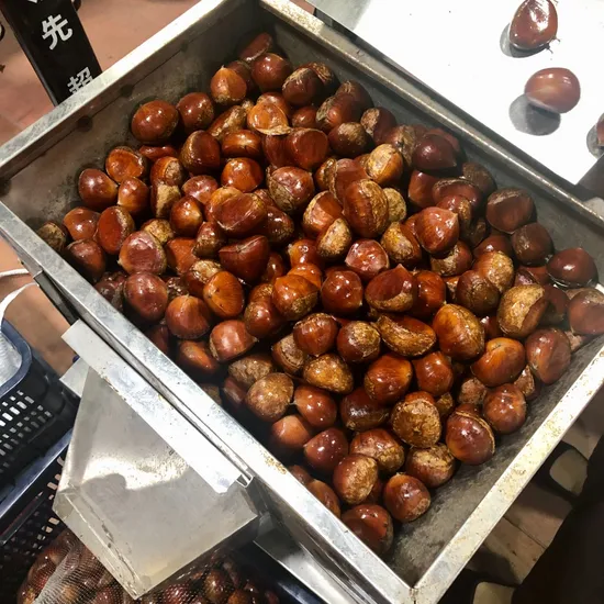 First Quality Chestnut From China 2022