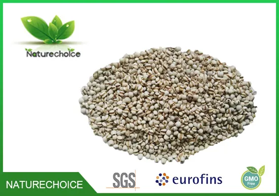 Coix Seed; Job′ S Tears Organic Semen Coicis Extract Powder,