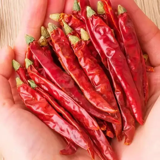 Top Selling Dry Red Chilli with Stem China Deluxe Chilli From China Exporter and Manufacturer