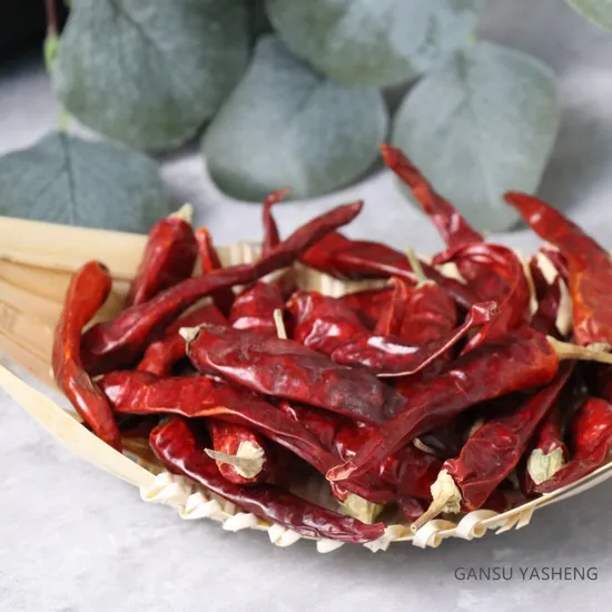 Hot Pepper Dried Chili Peppers Best Quality Chili Pepper Wholesale