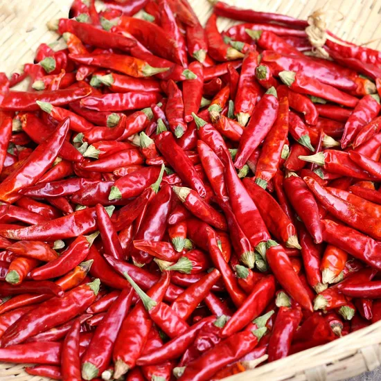 Dried Red Chili Dry Hot Pepper Chinese Dried Red Chili