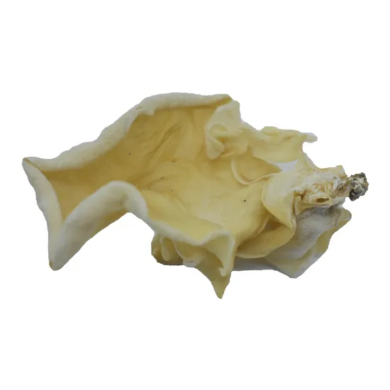 Wholesale Dehydrated Vegetable Edible Black Fungus Mushroom