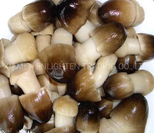 Delicious Yummy Black Brown Straw Mushrooms Whole