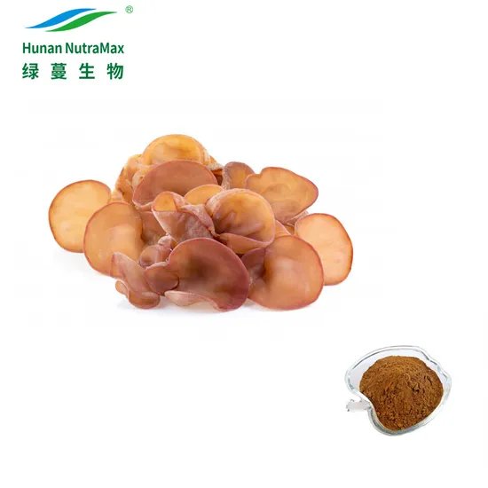 Top Quality Natural Agaric Extract Powder with Polysaccharide 80%