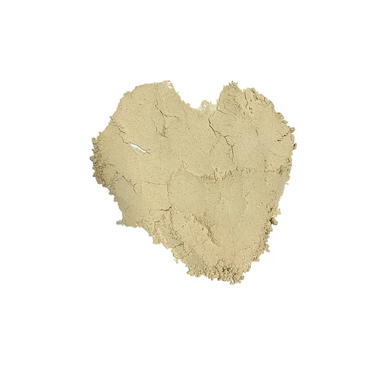 High Flavor Shiitake Mushroom Powder Champignon Powder