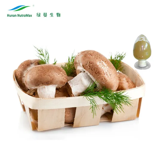 cGMP Factory Supply Shiitake Mushroom Extract with Polysaccharides 10%~50%