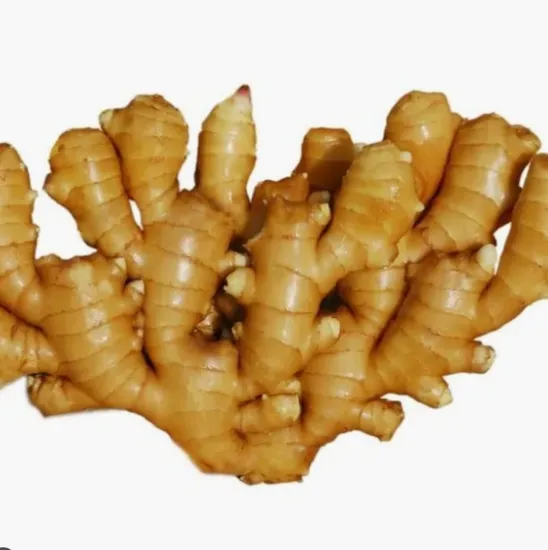 2024 New Crop Fresh Shandong Ginger Vegetable Hot Selling China Spicy Selected High Quality 150g 250g up Organic Sushi Ginger with Best Price Factory Supplier