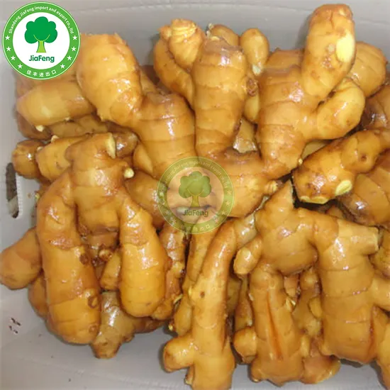 Fresh Vegetable of China Fresh Ginger Wholesale Air Dried Ginger Price Per Kg