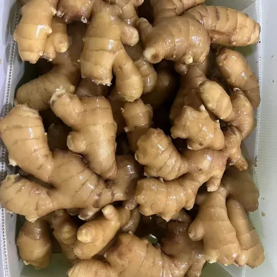 Hot Sales Wholesale New Crop Narvest Fresh Ginger From Shandong Laizhou