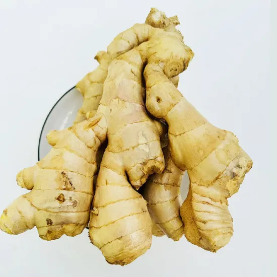 New Fresh High Quality and Low Price of Ginger