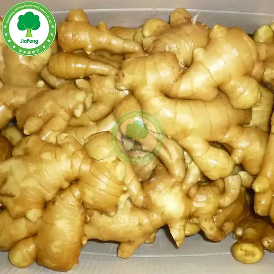 Hot Offers Ginger Whole with Fresh Customized Packing Ready to Ship Best Ginger Exporter