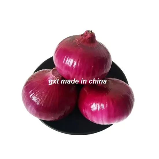 Chinese Fresh Red Onion Wholesale Price Per Ton 20kg/25kg Mesh Bag with Customize Label